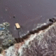Maharashtra river pollution