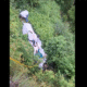 Aurangabad Dipali Aswar murder