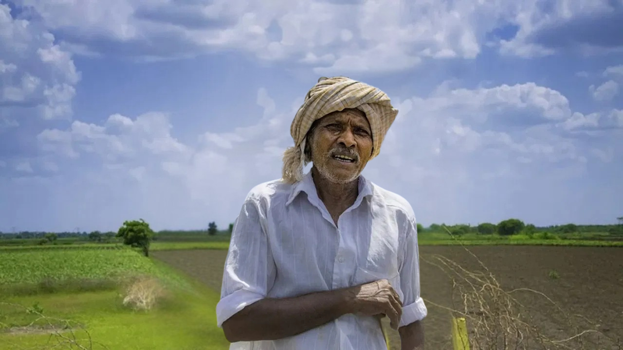 Beed rainfall news