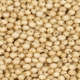 Jowar price Jalgaon market