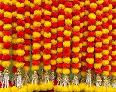 Plastic flower ban