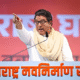 Raj Thackeray third language issue