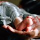 40-day-old-girl-sold-pune-human-trafficking-case