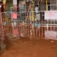 Sangli flood alert Krishna river level