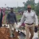 Shirpur accident Mumbai Agra highway
