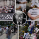 Trump protests 1600 cities USA