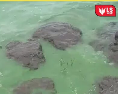 green water news