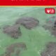 green water news