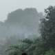 Bhandara heavy rainfall news