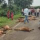 Buldhana ST bus accident