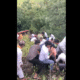 Chhatrapati Sambhajinagar tractor accident