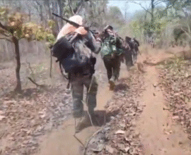 Gadchiroli Naxal encounter news