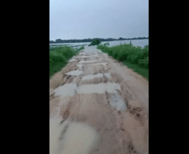 Nanded district flood news
