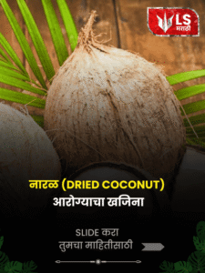 Dried Coconut