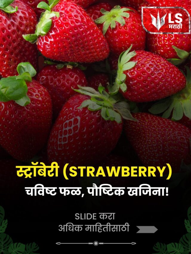 स्ट्रॉबेरी: गोड लाल आरोग्यदायी फळ