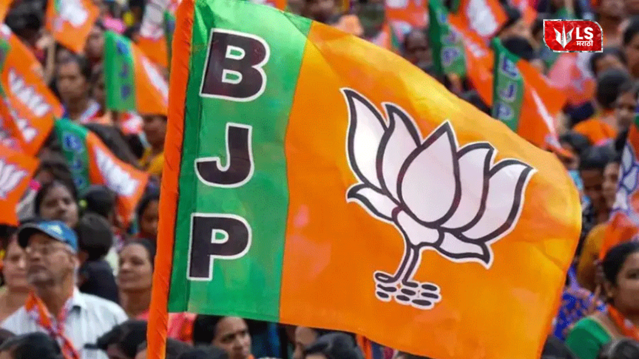 Local Body Election