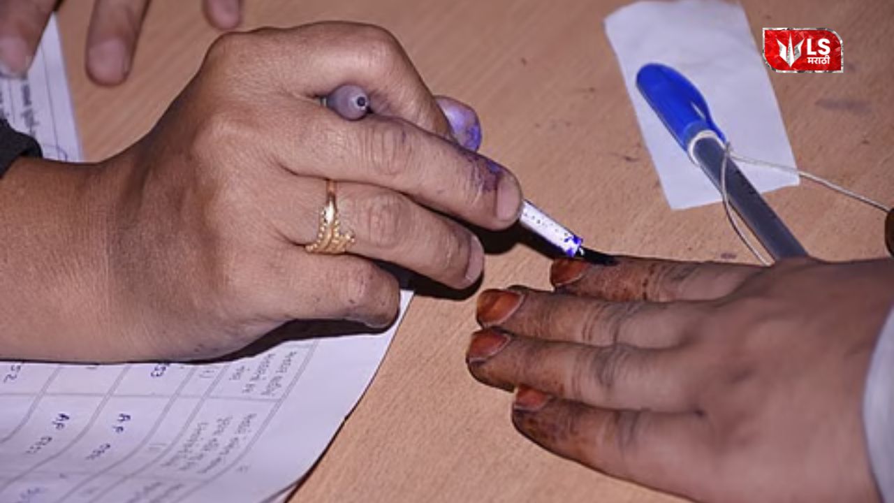 Local body elections