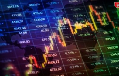 Stock market display showing a sharp decline as shares of five companies drop up to 56% in November.