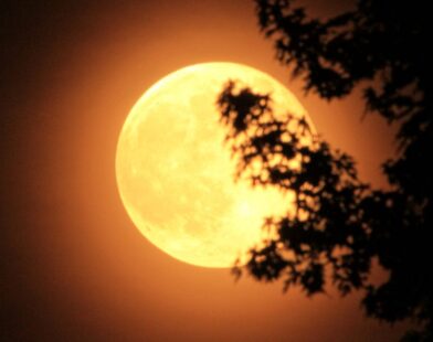 Last supermoon of 2025 shining brightly on Margashirsha Purnima