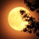Last supermoon of 2025 shining brightly on Margashirsha Purnima