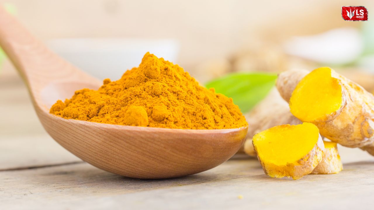 A bowl of turmeric powder with fresh turmeric roots placed beside it, highlighting the risks of excess turmeric consumption for kidney and liver health