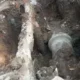 इंदुरमध्ये पाण्यामुळे मृत्यू