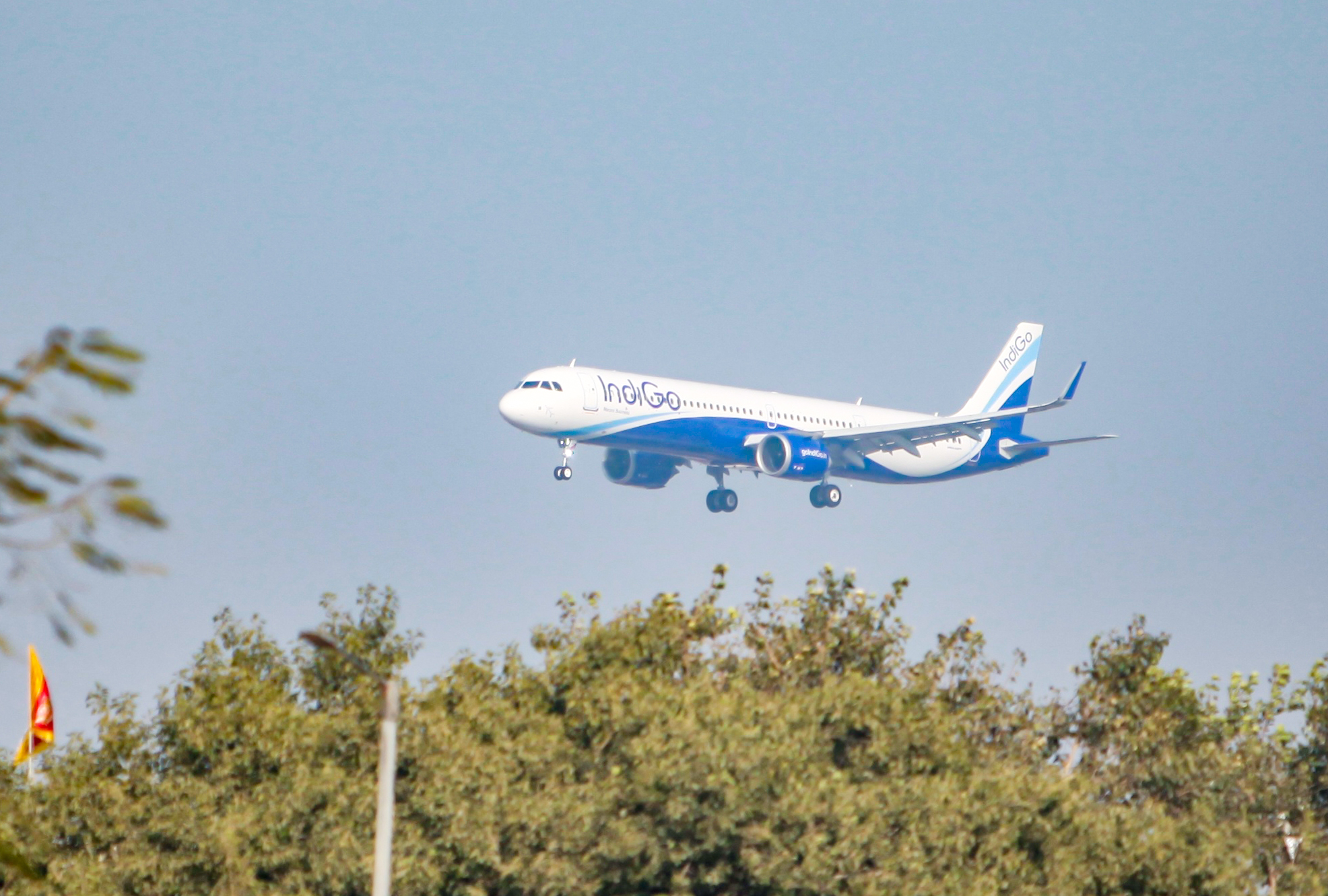 Indigo Incredible Offer