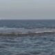 Vasai Deep Sea Gas Leak