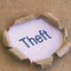 Farmer files police complaint after hard-earned crop stolen from farm