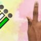 Maharashtra government declares public holiday on January 15, 2026 for voting