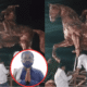Shivaji Maharaj statue controversy
