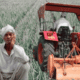 Farmer Destroys Onion Crop Due to Low Prices