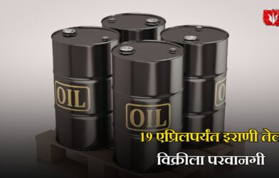 Oil