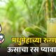 Sugarcane Juice for Diabetes