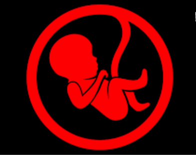 Abortion