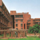 jnu delhi