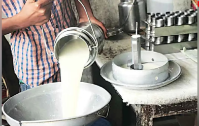 milk bhesal