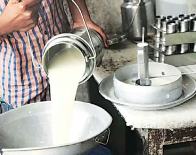milk bhesal