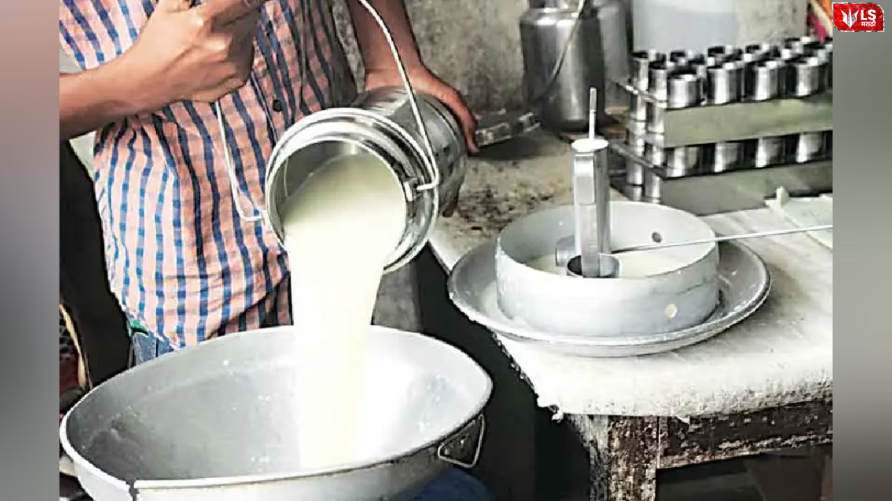 milk bhesal