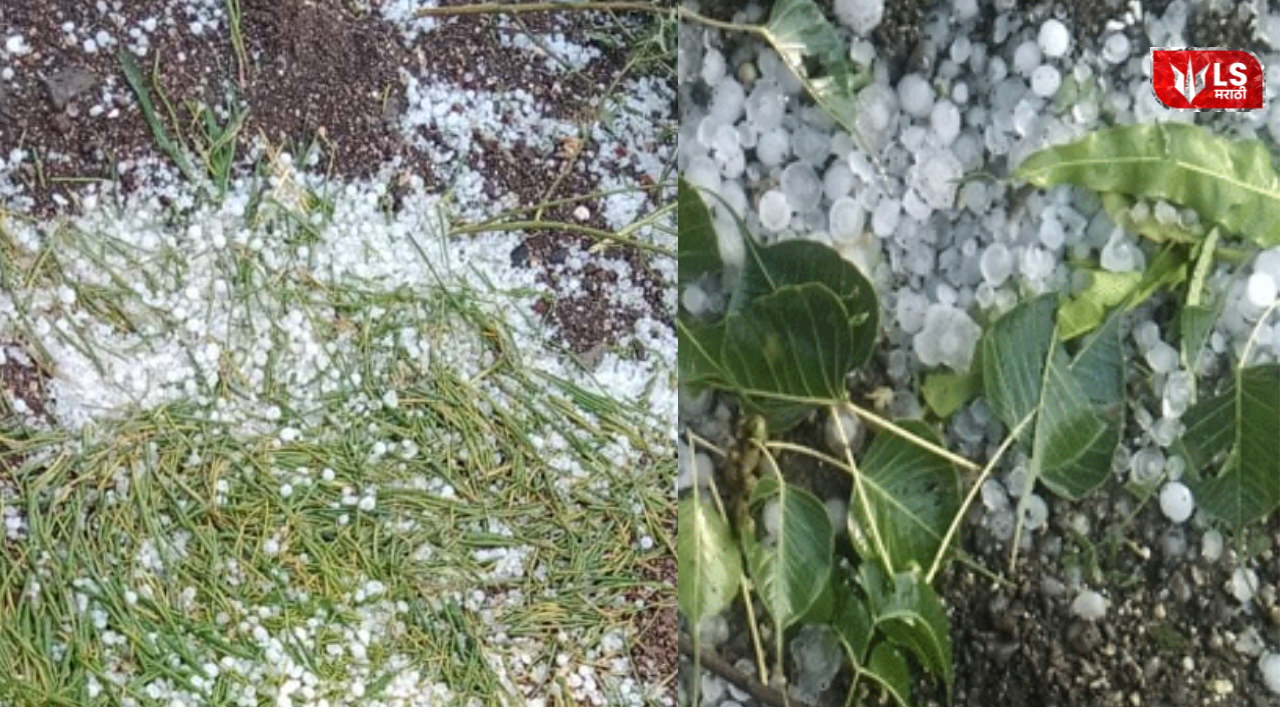 Unseasonal Rain