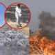 Farmer wheat crop fire Akola