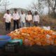 Pune mango pulp scam