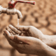 Yavatmal water crisis