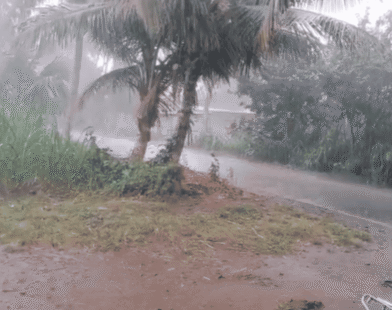 stormy rain alert