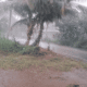 stormy rain alert
