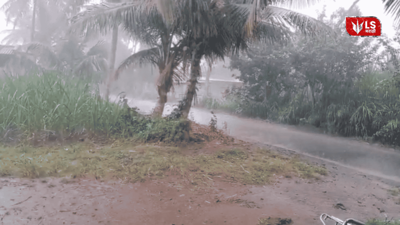 stormy rain alert