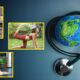 World Health Day 2026
