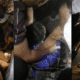 Beed drainage accident
