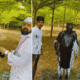 Vikas Lavande Shai Attack