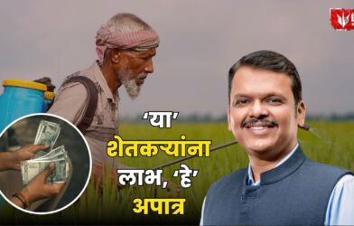 Farmer loan